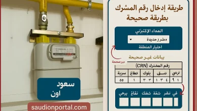 فاتورة الغاز