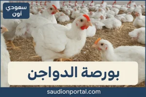 اسعار الكتاكيت اليوم