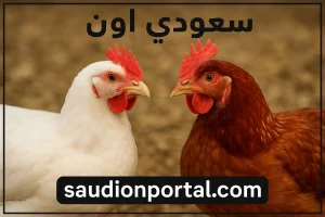 سعر الفراخ البيضاء والساسو