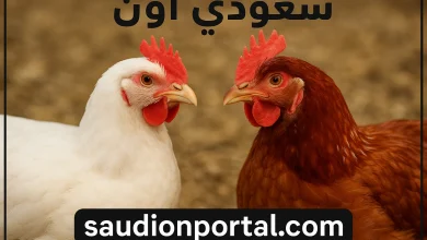 سعر الفراخ البيضاء والساسو