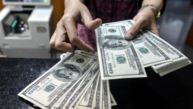 الدولار مستقر في مصر