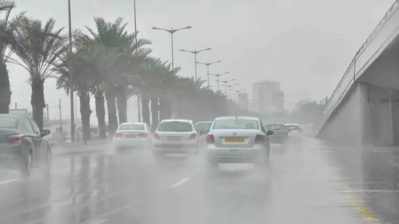 الحراره هتفضل عاليه بكرا وهيكون في شبوره ورياح ببعض المناطق
