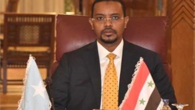 سفير الصومال في مصر