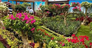 3 وزرا بيفتتحو معرض زهور الربيع بالمتحف الزراعى