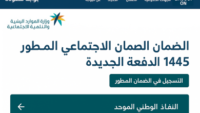الضمان الاجتماعي المطور
