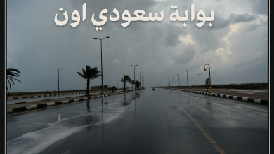 أمطار رعدية ورياح نشطة على مناطق عدة بالمملكة