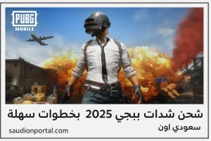 شحن شدات ببجي