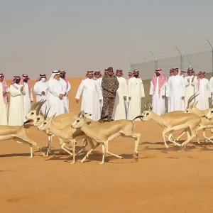 إطلاق كائنات فطرية مهددة بالانقراض