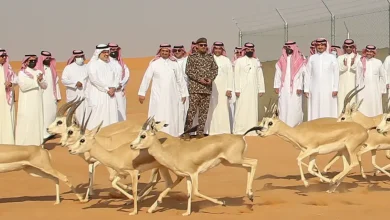 إطلاق كائنات فطرية مهددة بالانقراض