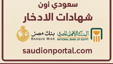البنك الأهلي وبنك مصر