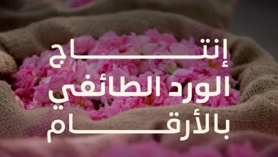 برنامج "ريف السعودية" يطلق حملة إعلامية للورد الطائفي