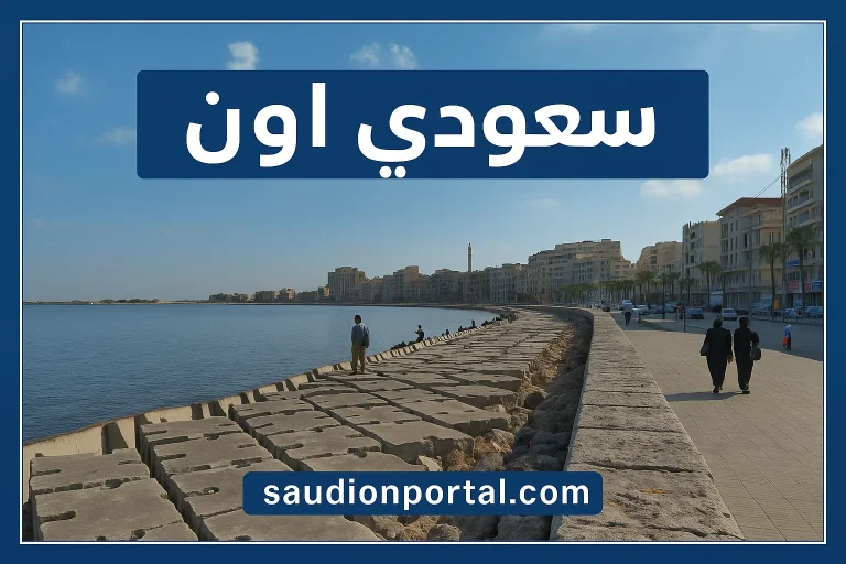 هذه حالة الطقس على السواحل الشمالية ومحافظات الصعيد.. “الأرصاد الجوية” تكشف