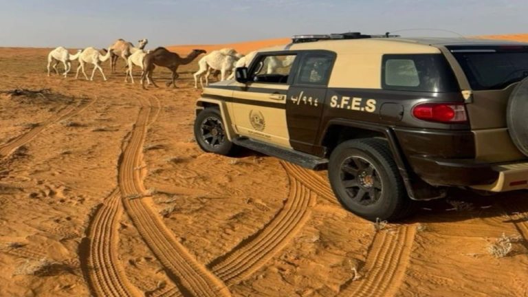 الأمن يضبط مخالفين لنظام البيئه بتجريف تربة ورعي بالإبل