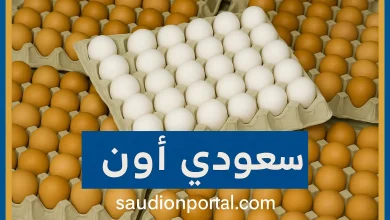 أسعار كرتونة البيض اليوم