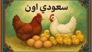 اسعار الفراخ البيضاء