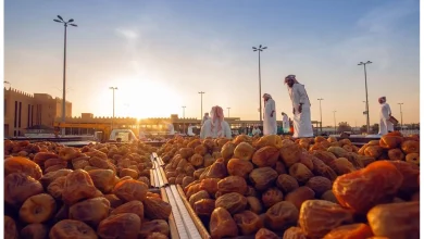 صادرات التمور السعودية