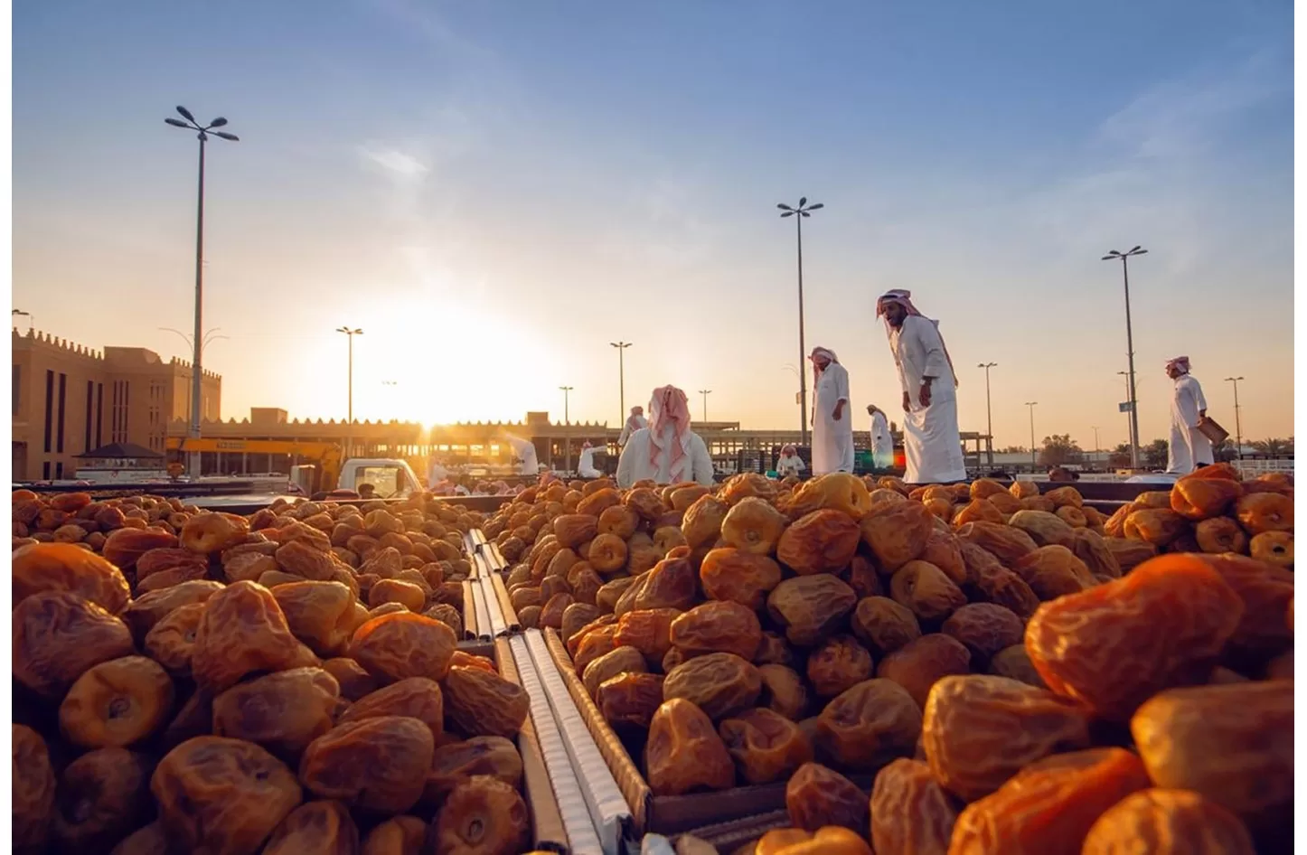 صادرات التمور السعودية