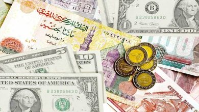 سعر الجنيه المصري مقابل العملات الأجنبية