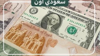 سعر الدولار