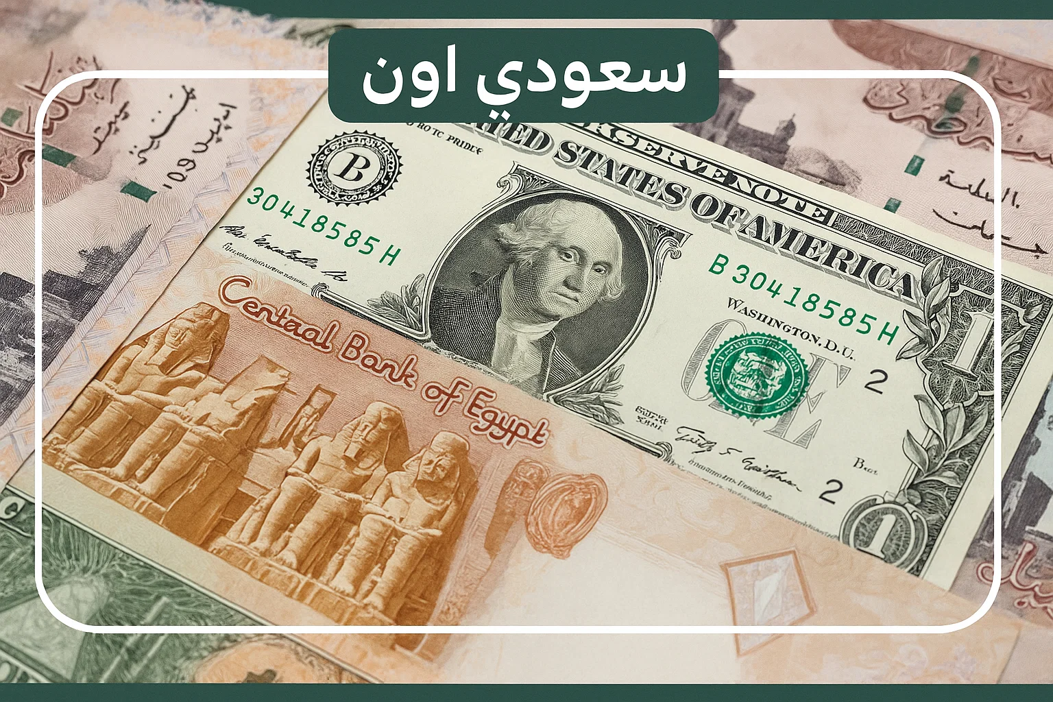 سعر الدولار