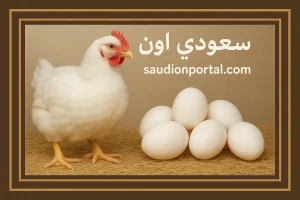 سعر الفراخ