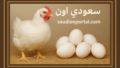 سعر الفراخ