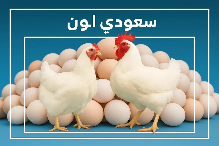 سعر الفراخ البيضاء