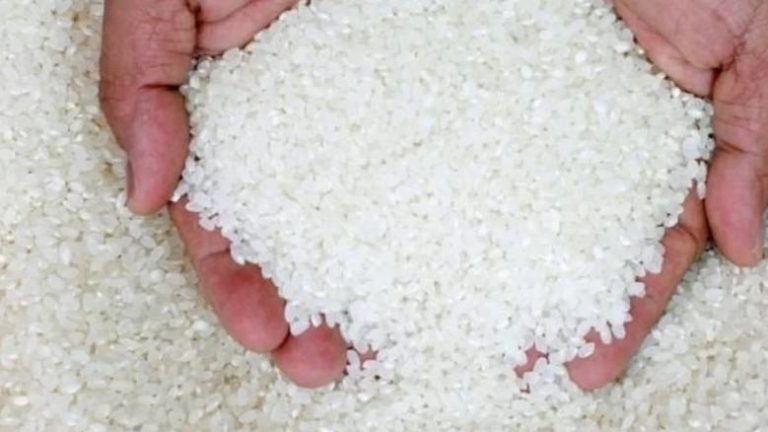 سعر طن الأرز الشعير اليوم