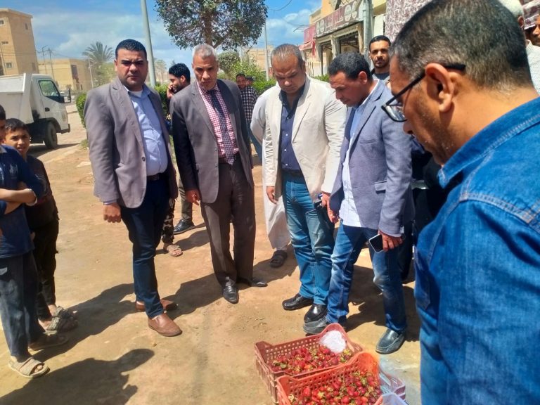 غلق 64 منشأة وتحرير 584 محضر متنوع في حملات على الأسواق في الإسكندرية