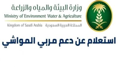 كيفية الاستعلام عن دعم المواشي للمستفيدين