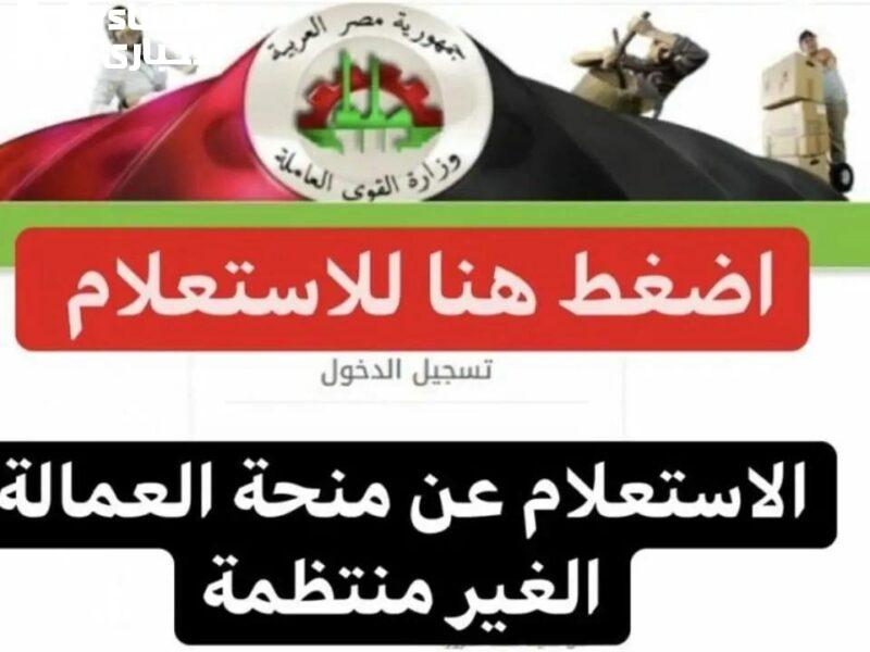 كيفية الاستعلام عن منحة العمالة غير المنتظمة في مصر
