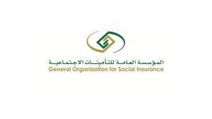 معايير العمالة المنزلية المانعة لاستحقاق المعاش
