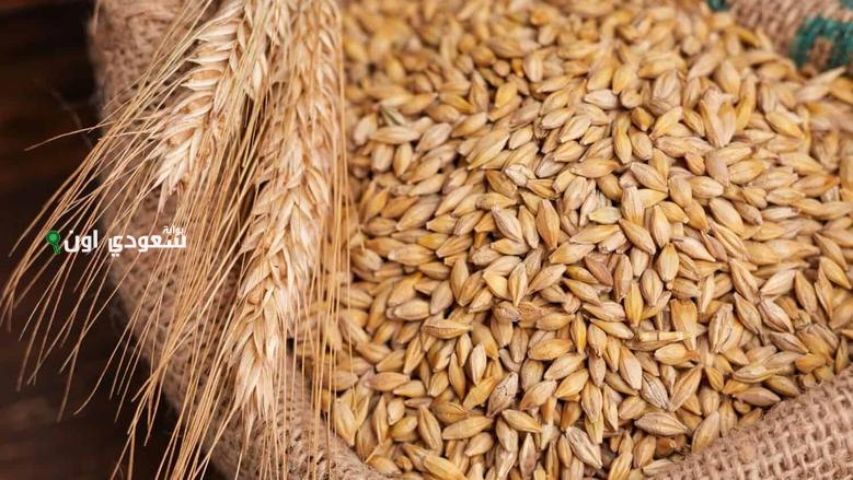 أسعار الأرز الشعير اليوم
