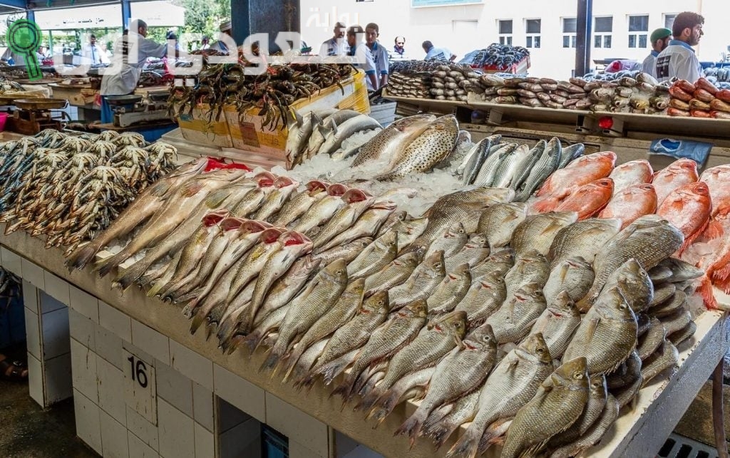 أسعار الأسماك اليوم