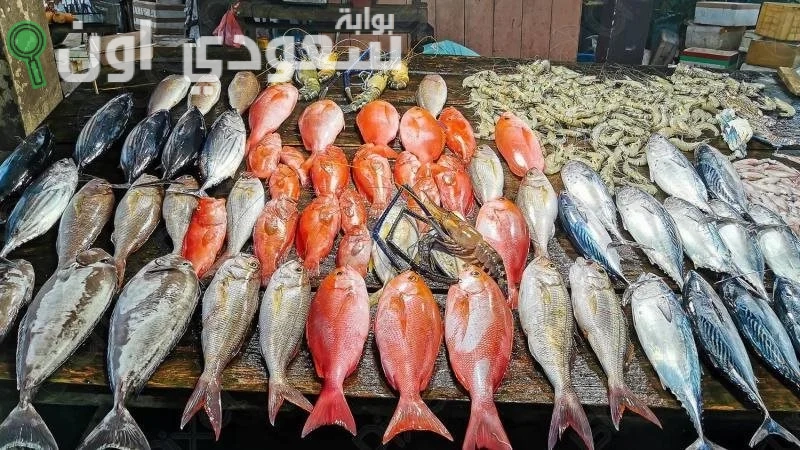 أسعار الأسماك والجمبري