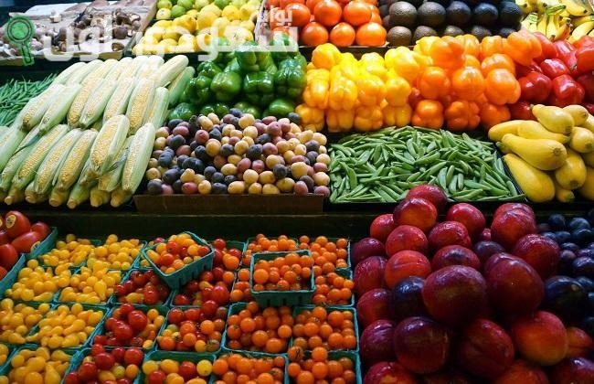 اسعار الخضراوات واللحوم اليوم