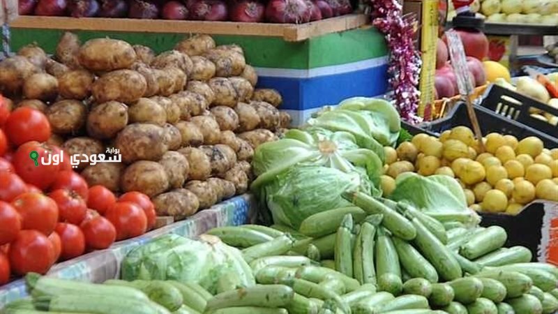 اسعار الخضروات في مصر