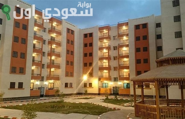 الحكومة المصرية