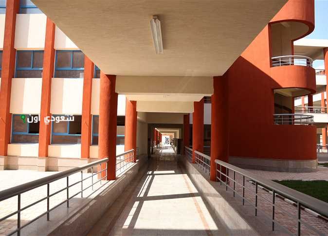 المدارس اليابانية في مصر