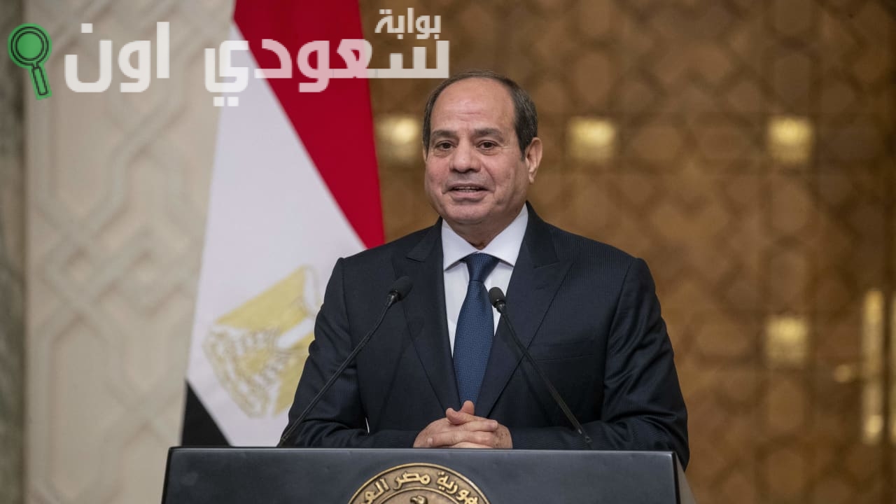 بعد إصدار قانون العمل الجديد في مصر