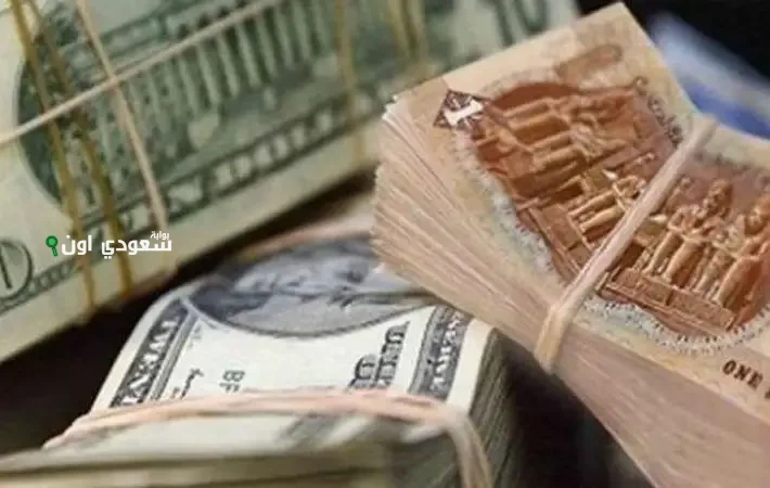 توقعات سعر صرف الدولار في مصر