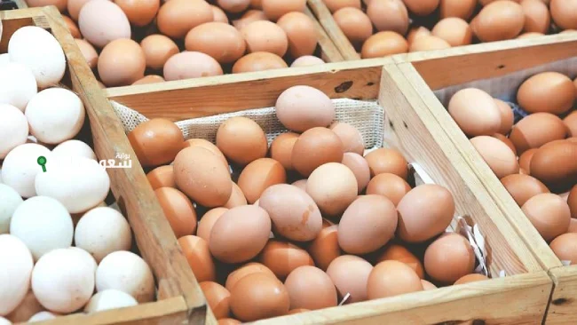 سعر البيض الأبيض والاحمر