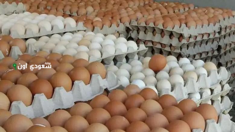 سعر البيض البلدي والاحمر والابيض
