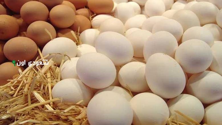 سعر كرتونة البيض اليوم