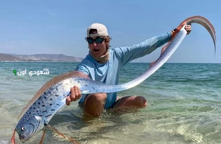 سمكة يوم القيامة