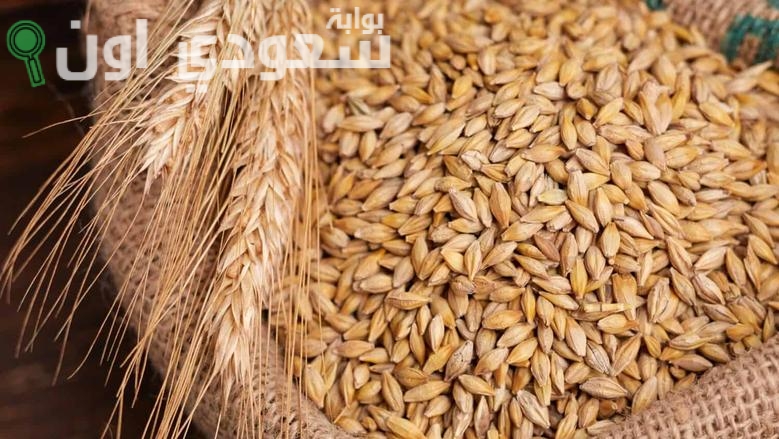 كم سعر الأرز الشعير اليوم