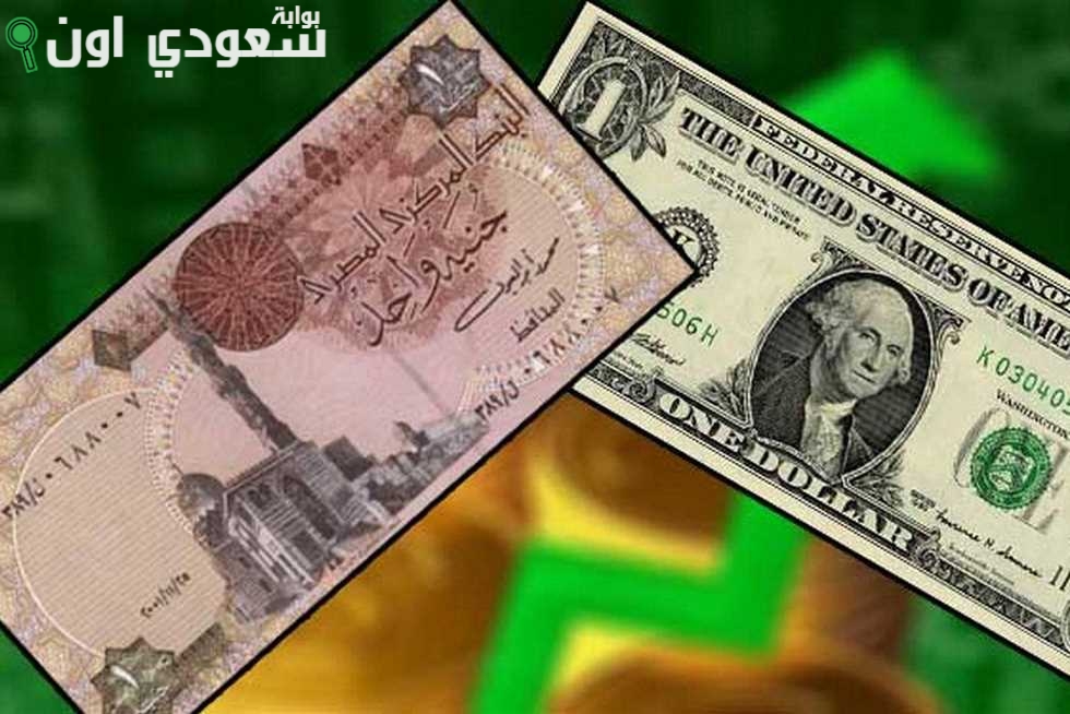 كم سعر صرف الدولار الأمريكي مقابل الجنيه المصري