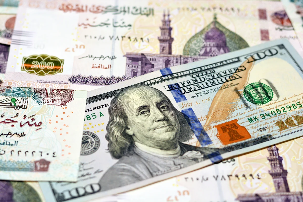 كم سعر صرف الدولار اليوم في مصر