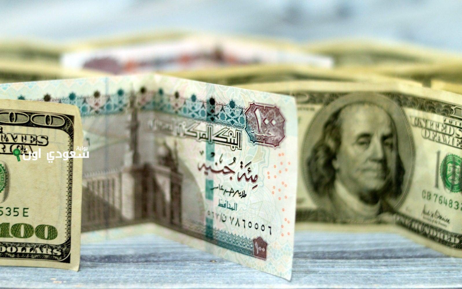 سعر الدولار اليوم في مصر