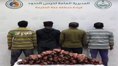 القبض على أربعة مقيمين بسبب مخالفتهم لائحة الأمن والسلامة البحرية